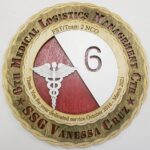 Custom 12" Army 6th Medical Logistics MGT CTR Wall Tribute
