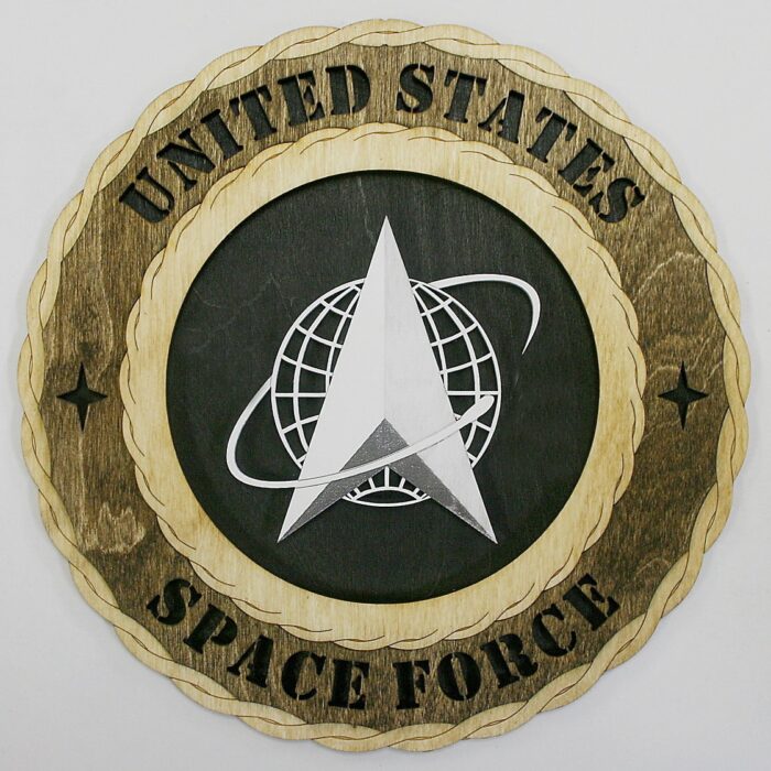 Space Force Wall Tribute - Image 1