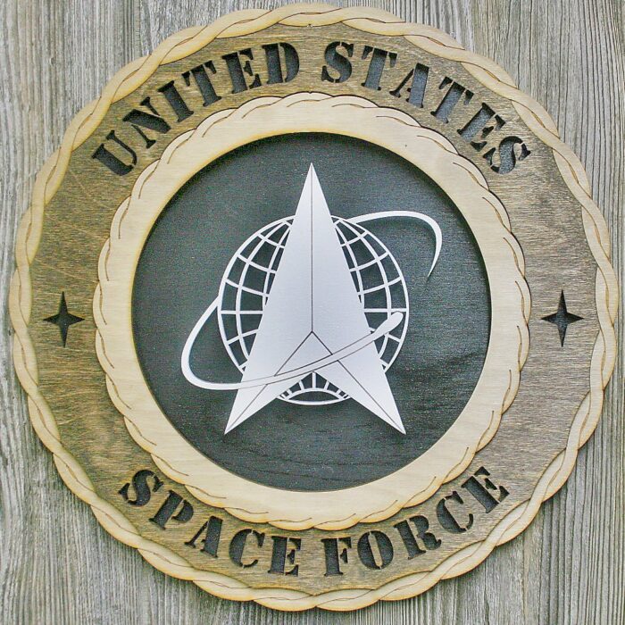 Space Force Wall Tribute - Image 3