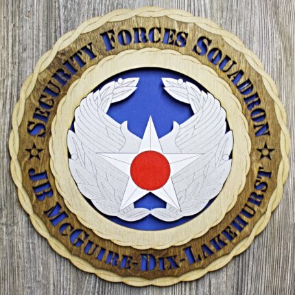 Air Force Commanders Badge Wall Tribute