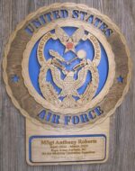 Air Force Inspector General Wall Tribute - Image 7