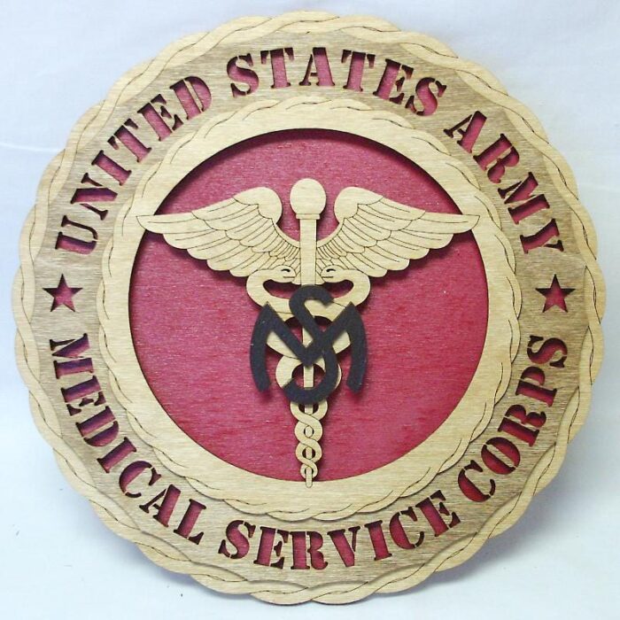 Army Medical Services Corps Wall Tribute - Image 2