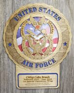 Air Force Inspector General Wall Tribute - Image 5