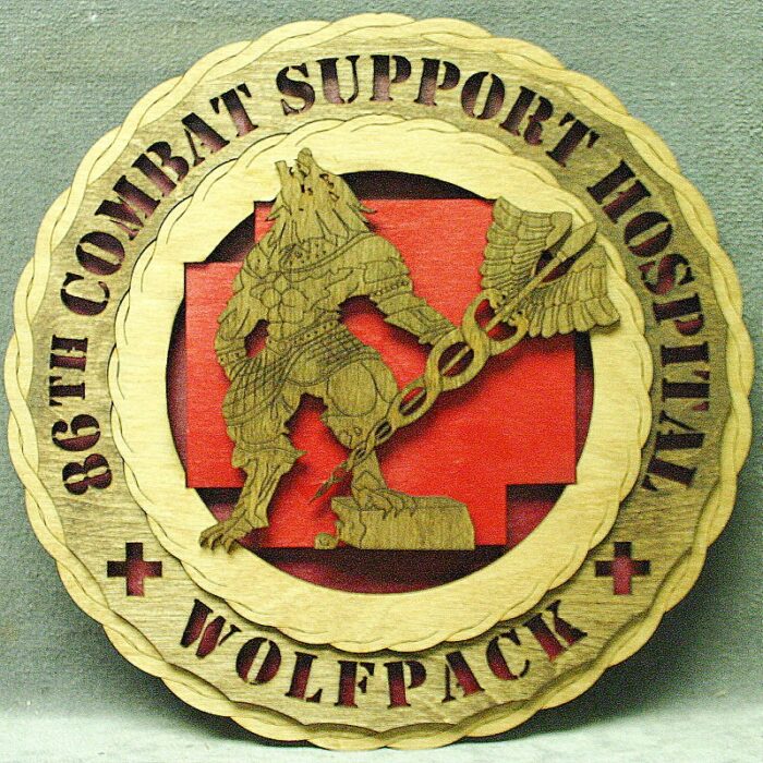 Custom 12" Wood US Army 86th Combat Support Hospital Wall Tribute - FREE SHIPPING - Image 1