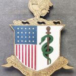 Custom Army AMEDD Crest