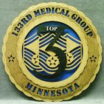 12" Wood US Air Force 133rd Medical Group Wall Tribute - FREE Shipping
