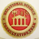 Custom 12" Wood US Army Behavioral Science Consultation Team Wall Tribute - FREE SHIPPING