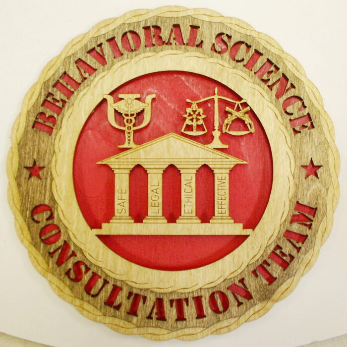 Custom 12" Wood US Army Behavioral Science Consultation Team Wall Tribute - FREE SHIPPING - Image 1