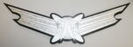 Space Wings Insignia