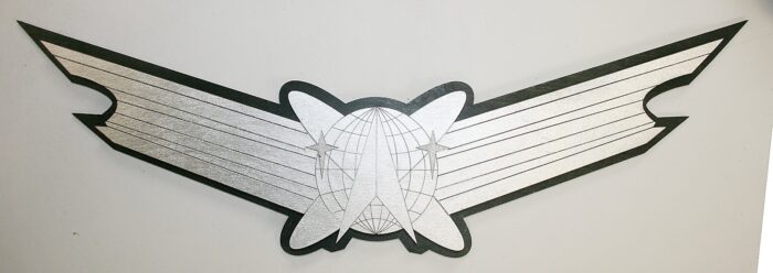 Space Wings Insignia - Image 2