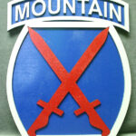 Large 18 inch 10th Mountain Wall Insignia