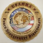 12" and 18" USAMMDA Wall Tribute - Image 2