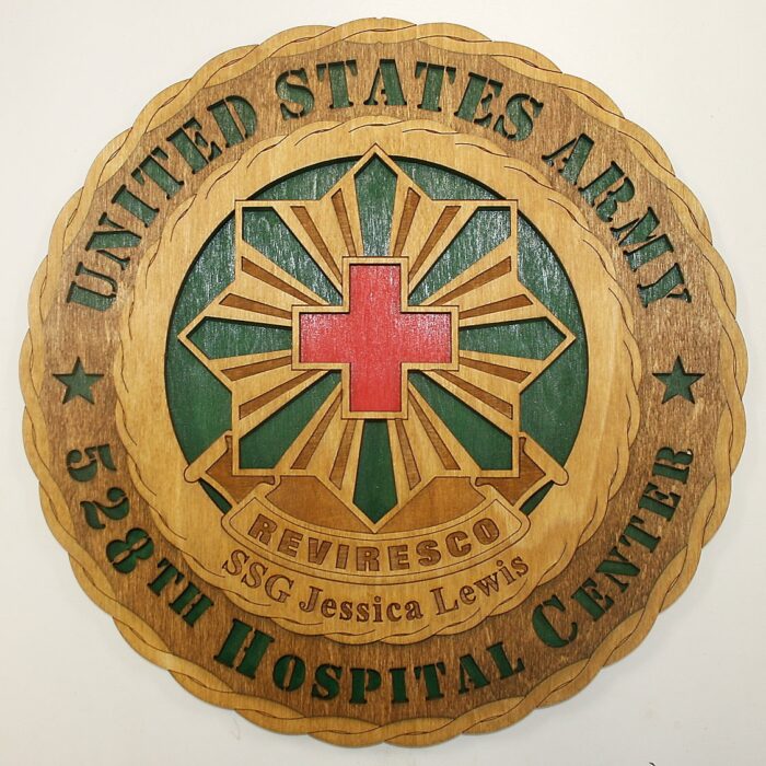 Army 528th Hospital Center Wall Tribute - Image 1