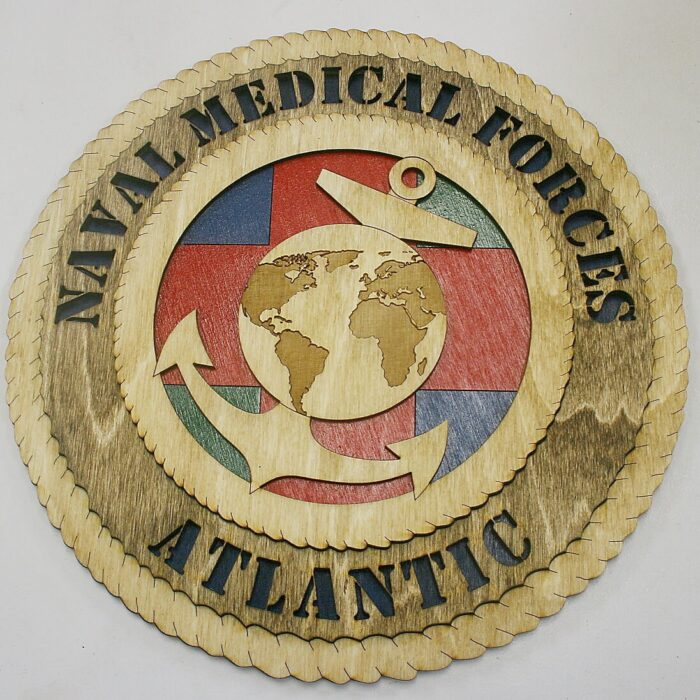 Navy Medical Forces Atlantic Wall Tribute - Image 3