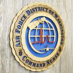 Air Force AFMS Logo Wall Tribute - Image 2