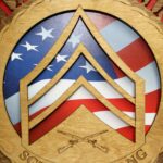 Air Force AFMS Logo Wall Tribute - Image 5