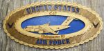United states Air Force C17 Large Oval Wall Tribute
