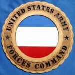 FORSCOM Wall Tribute - Image 2